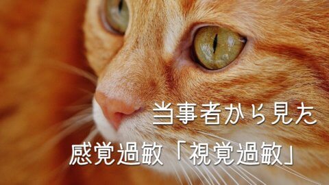 発達障害者の感覚過敏！当事者から見た視覚過敏について